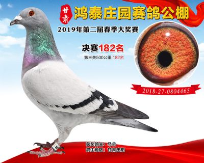 甘肃鸿泰庄园决赛182名