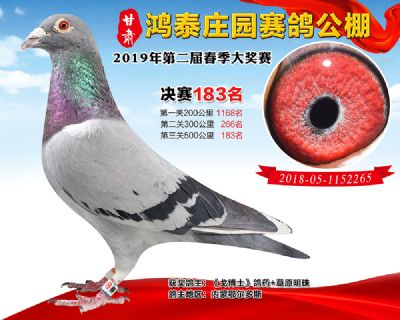 甘肃鸿泰庄园决赛183名