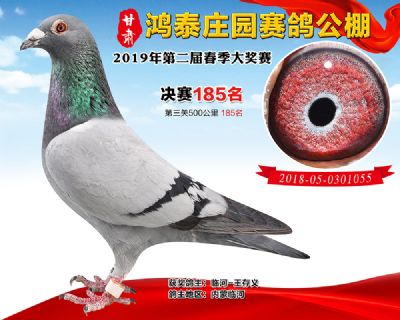 甘肃鸿泰庄园决赛185名
