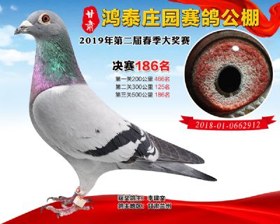 甘肃鸿泰庄园决赛186名