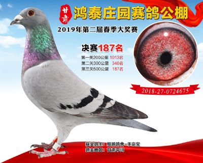 甘肃鸿泰庄园决赛187名