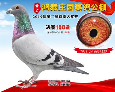 甘肃鸿泰庄园决赛188名
