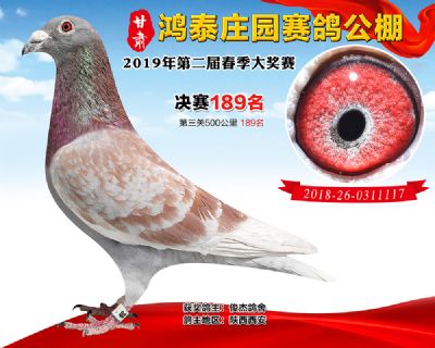 甘肃鸿泰庄园决赛189名