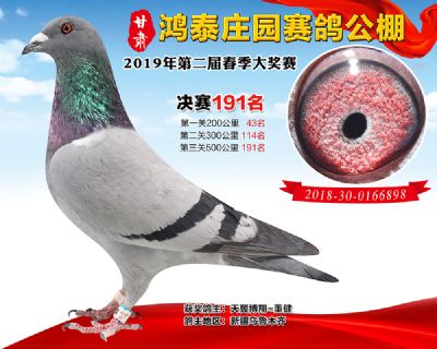 甘肃鸿泰庄园决赛191名