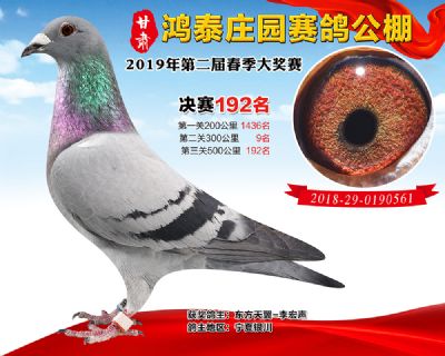 甘肃鸿泰庄园决赛192名