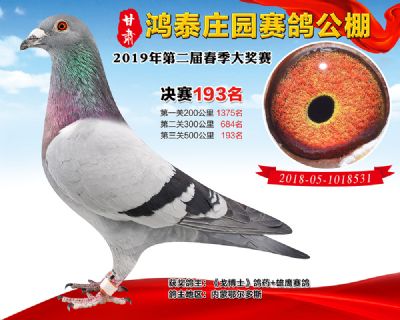 甘肃鸿泰庄园决赛193名