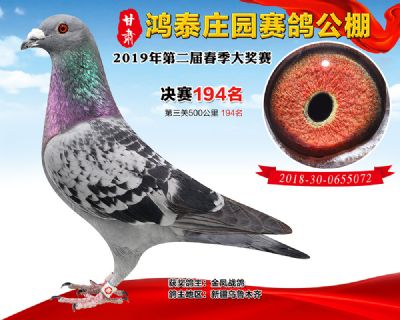 甘肃鸿泰庄园决赛194名
