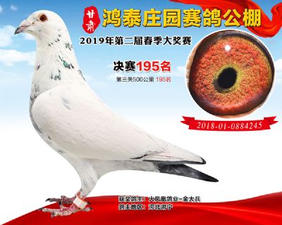 甘肃鸿泰庄园决赛195名