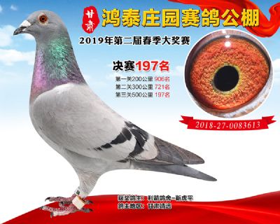 甘肃鸿泰庄园决赛197名