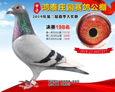甘肃鸿泰庄园决赛198名