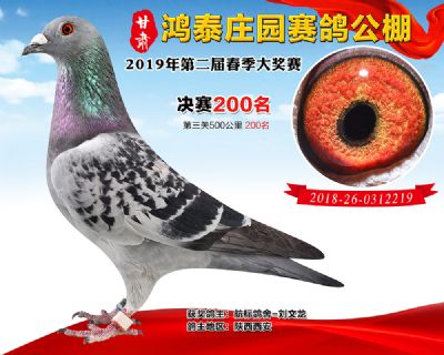 甘肃鸿泰庄园决赛200名