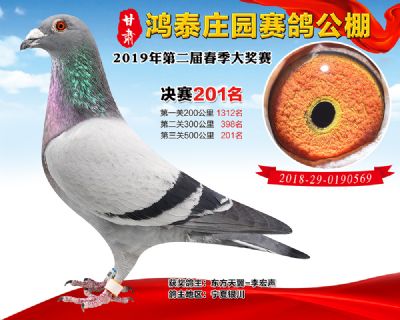 甘肃鸿泰庄园决赛201名