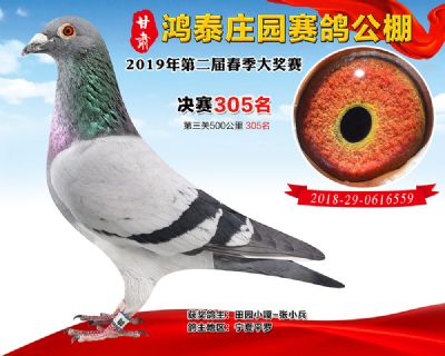 甘肃鸿泰庄园决赛305名