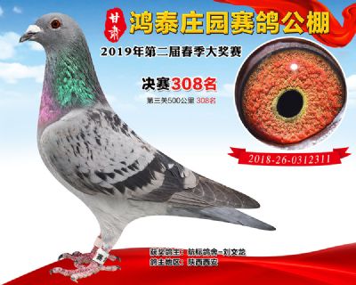 甘肃鸿泰庄园决赛308名