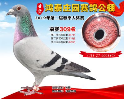 甘肃鸿泰庄园决赛309名