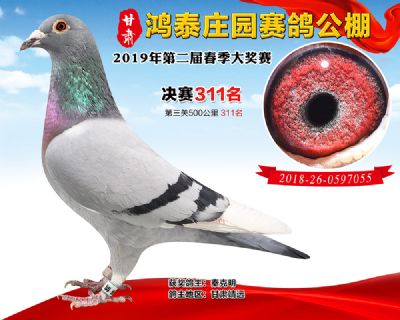 甘肃鸿泰庄园决赛311名