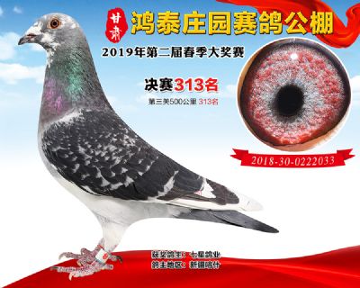 甘肃鸿泰庄园决赛313名