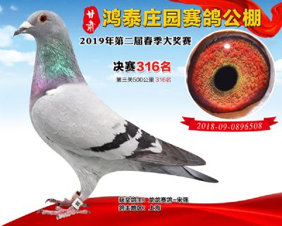 甘肃鸿泰庄园决赛316名