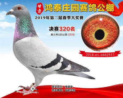 甘肃鸿泰庄园决赛320名