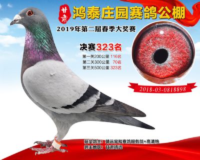 甘肃鸿泰庄园决赛323名