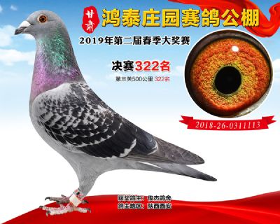 甘肃鸿泰庄园决赛322名