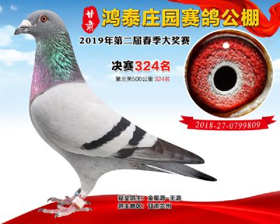 甘肃鸿泰庄园决赛324名