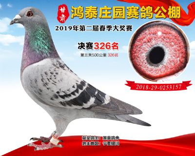 甘肃鸿泰庄园决赛326名