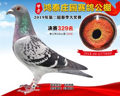 甘肃鸿泰庄园决赛329名
