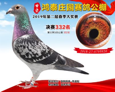 甘肃鸿泰庄园决赛332名