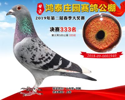 甘肃鸿泰庄园决赛333名