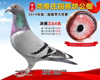 甘肃鸿泰庄园决赛334名