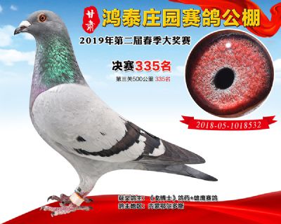 甘肃鸿泰庄园决赛335名