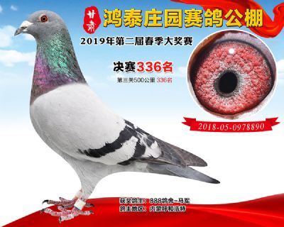 甘肃鸿泰庄园决赛336名