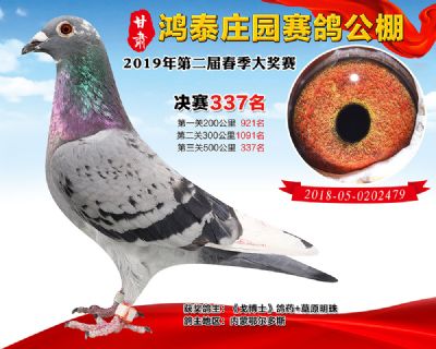 甘肃鸿泰庄园决赛337名