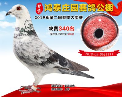 甘肃鸿泰庄园决赛340名