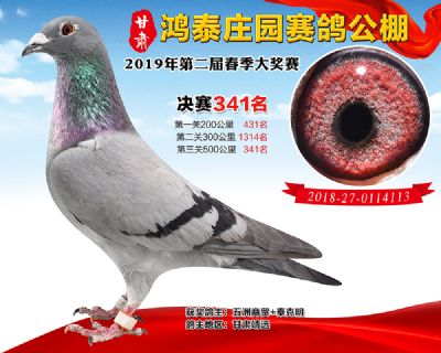 甘肃鸿泰庄园决赛341名