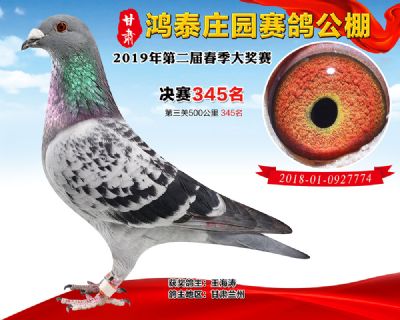 甘肃鸿泰庄园决赛345名