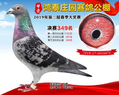 甘肃鸿泰庄园决赛349名