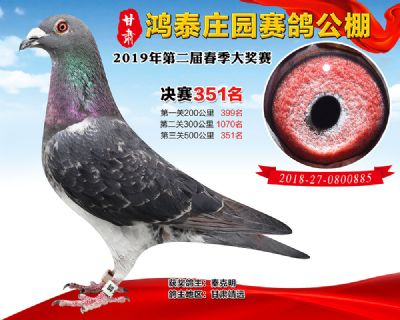 甘肃鸿泰庄园决赛351名