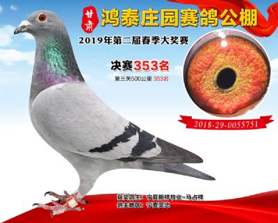 甘肃鸿泰庄园决赛353名