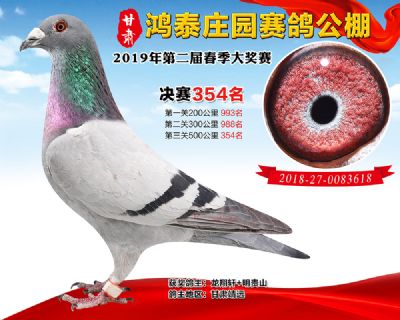 甘肃鸿泰庄园决赛354名