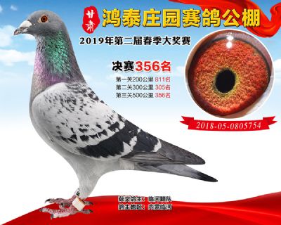 甘肃鸿泰庄园决赛356名