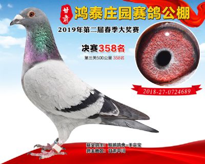 甘肃鸿泰庄园决赛358名