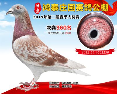 甘肃鸿泰庄园决赛360名