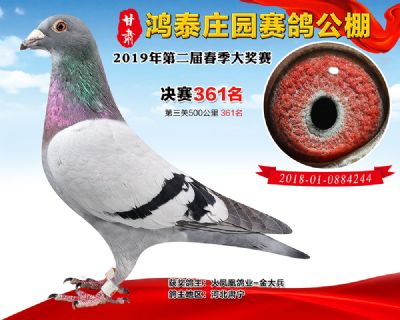 甘肃鸿泰庄园决赛361名