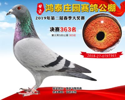 甘肃鸿泰庄园决赛363名