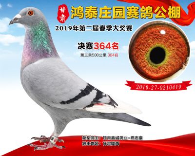 甘肃鸿泰庄园决赛364名