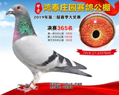 甘肃鸿泰庄园决赛365名