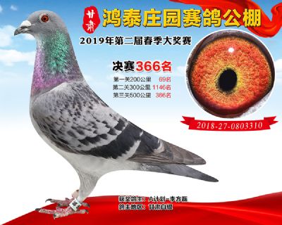 甘肃鸿泰庄园决赛366名