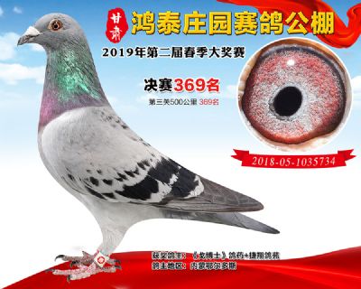 甘肃鸿泰庄园决赛369名